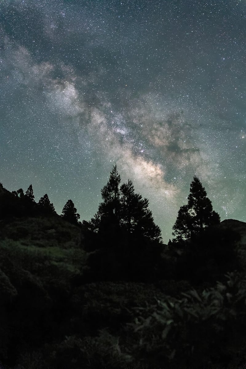 Starry Night Dress